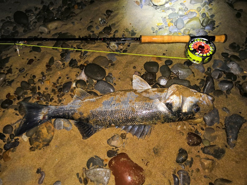 Cần câu ruồi nước mặn MaxCatch Saltpro | Euro Nymph 30T + 40T SK Chameleon Carbon Fiber với tay cầm bằng bần