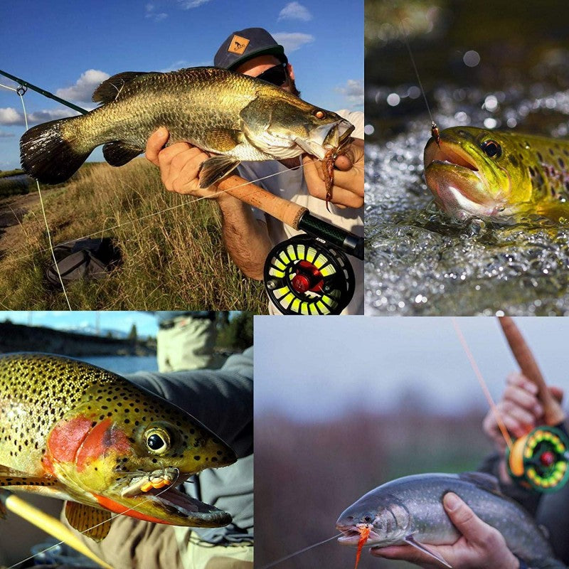 4 Spools Tippet Line Combo