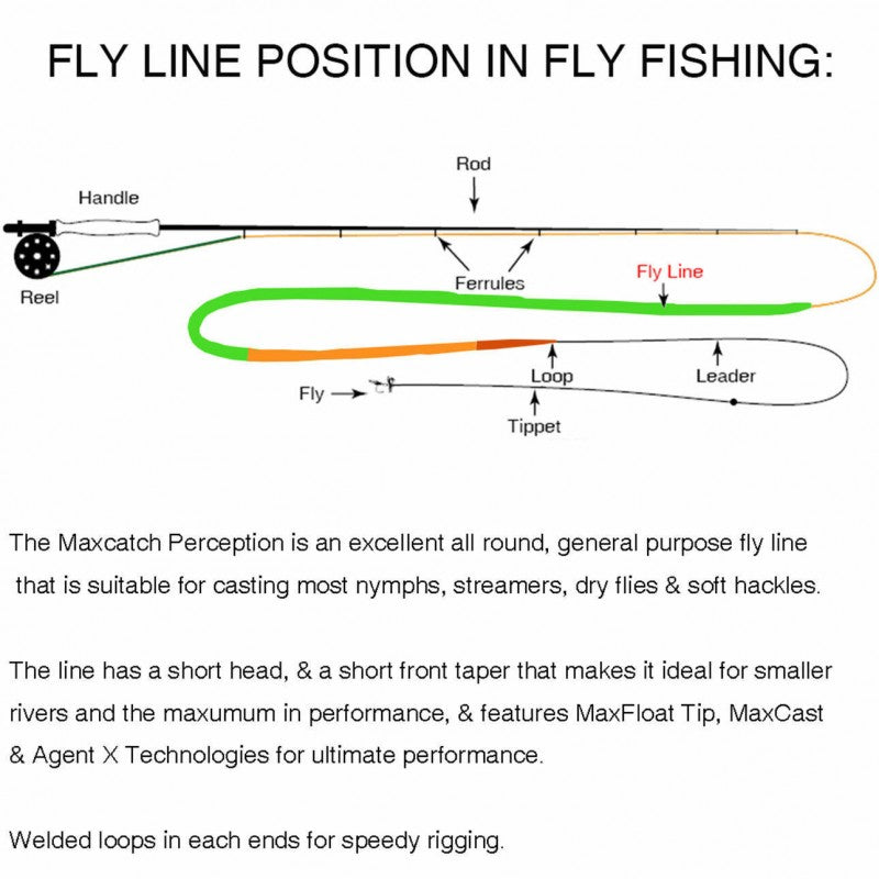 Perception Fly Fishing Line