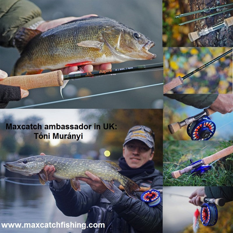 Cần câu đa năng Aspire | Sợi carbon IM12 / 40T