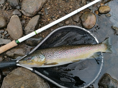 Mini Tenkara Fly Rod
