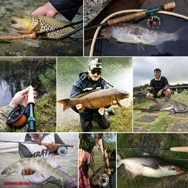 Extreme New Starter Fly Rod