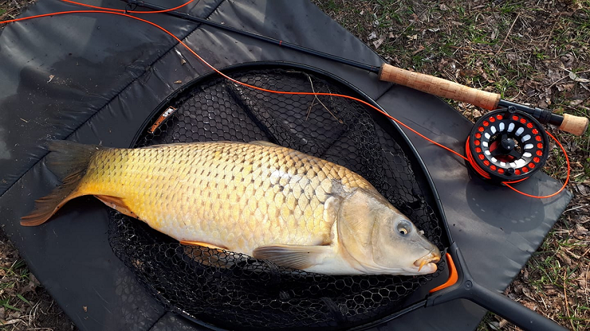MaxCatch Saltpro Salzwasser-Fliegenrute | Euro Nymph 30T + 40T SK Chameleon Kohlefaser mit Korkgriff